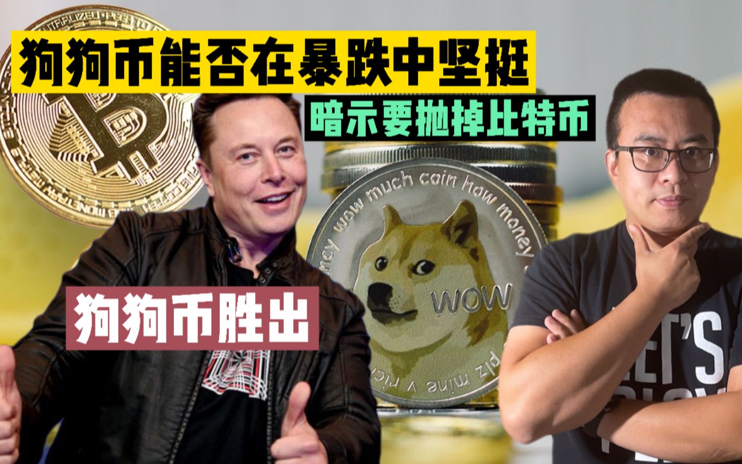 比特币狗狗币是啥(比特币狗狗币是啥意思啊)