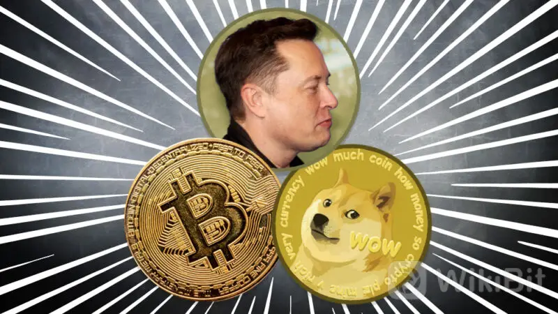 比特币为啥叫狗狗币(比特币和狗狗币有什么不一样)