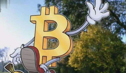 比特币不用网络(比特币可以不用钱包吗)