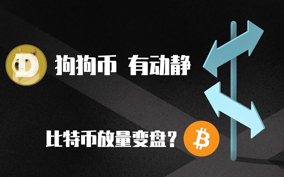 狗狗币比特币石油结算(狗狗币价格比特币家园)