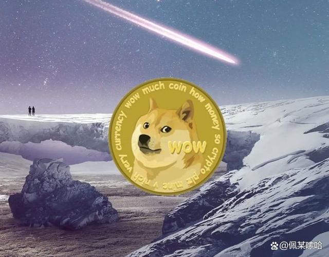 狗狗币比特币石油结算(狗狗币价格比特币家园)