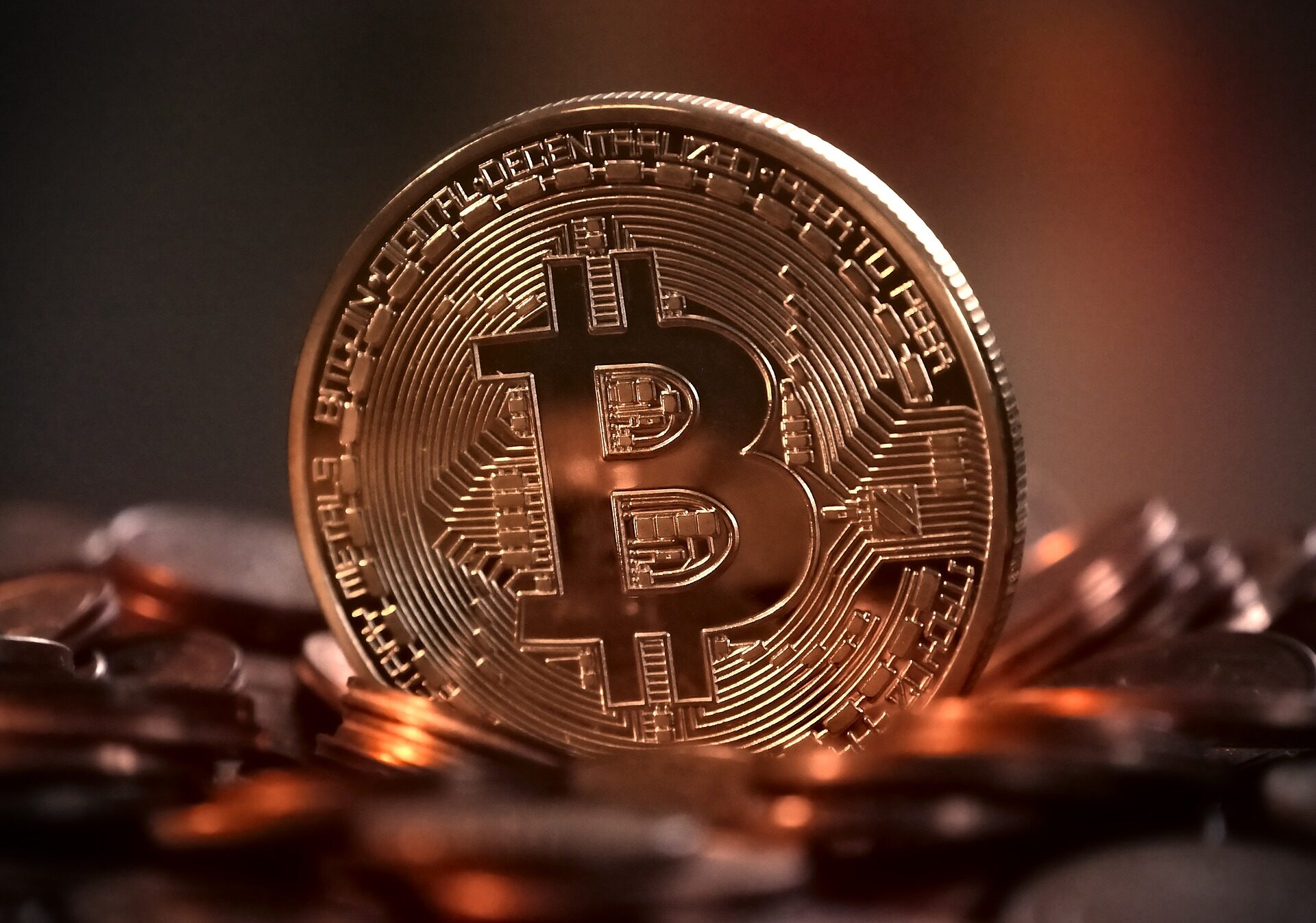 比特币黄金提币(比特币提币什么意思)
