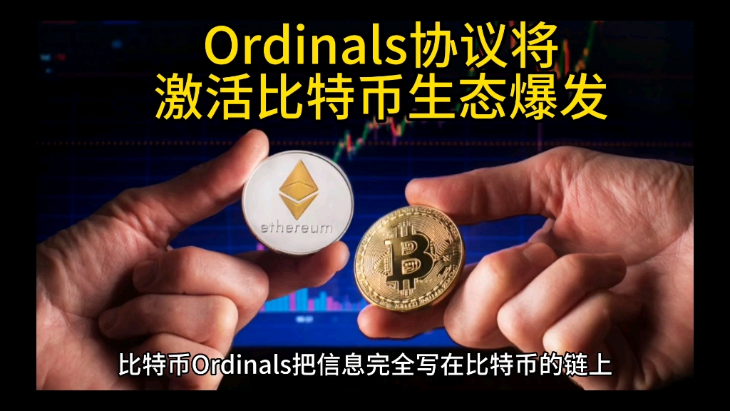 比特币生态总结(比特币链上生态Whee币)