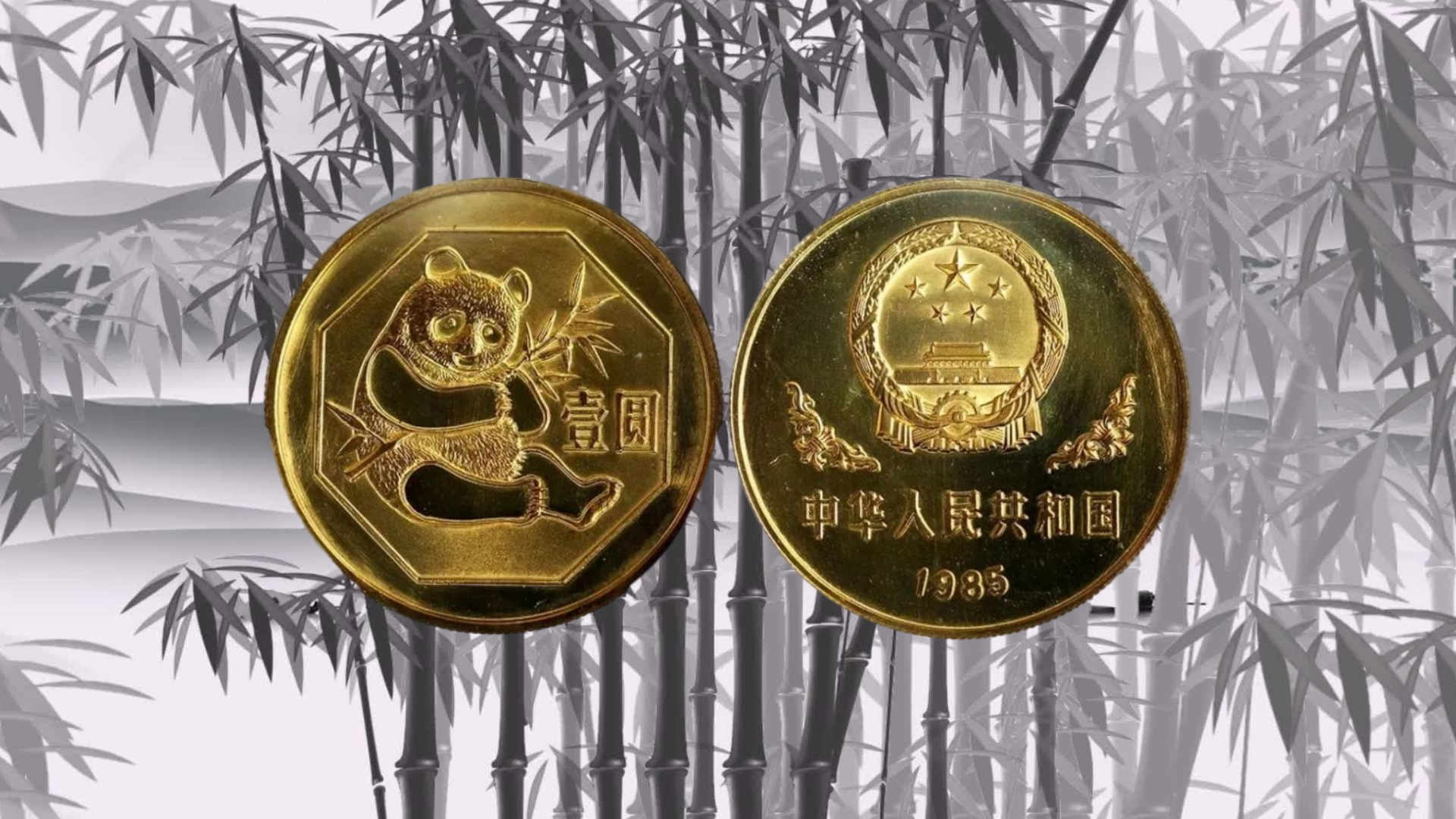 比特元熊猫币(比特元币值得长期投资吗)