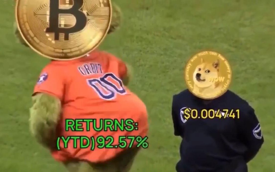 狗币和比特币视频(狗币和比特币视频在线观看)