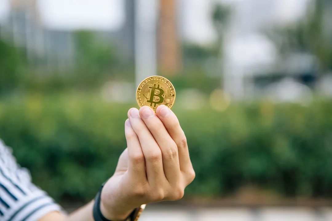 币王比特币最新视频(币看比特币实时行情走势图)