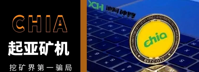 比特币跟奇亚币(奇亚币和以太坊能一起挖吗)