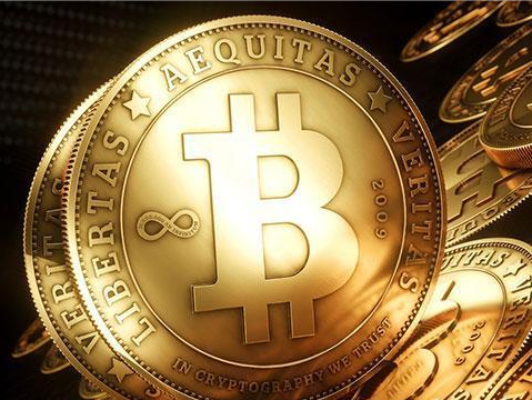 支点币分析比特币(比特网交易平台)