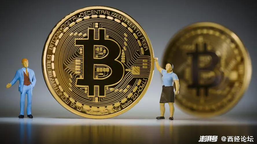 大众比特币现状(大众比特币现状分析)