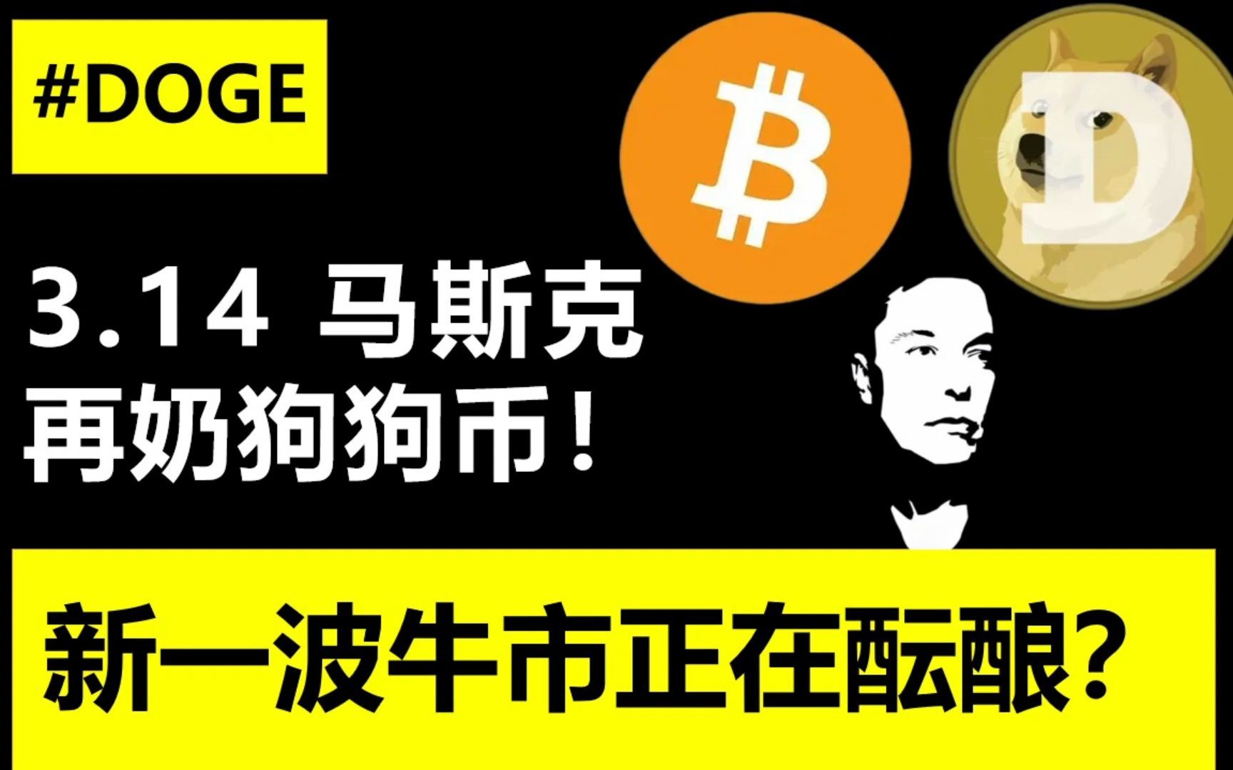 比特币大佬批判狗狗币(比特币大佬批判狗狗币视频)