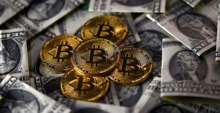 比特币家园维卡币(比特币家园维卡币怎么获得)