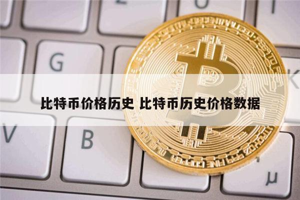2014年比特币实体币(比特币在2014年的价格)
