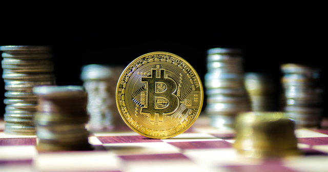 绿洲币换比特币多少(绿洲币换比特币多少合适)