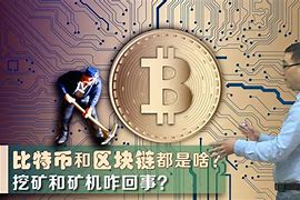 比特龙和比特币钻石(比特龙和比特币钻石的区别)