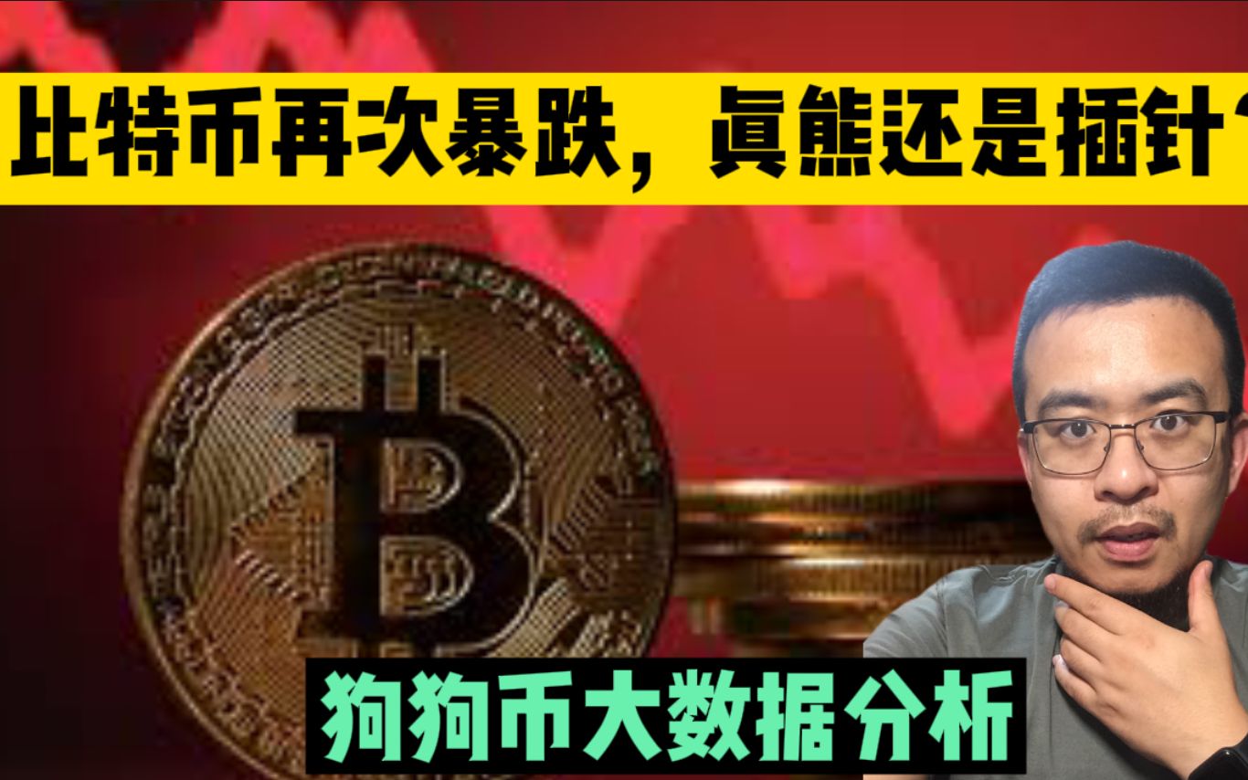 狗狗币也属于比特币(狗狗币和比特币的故事)