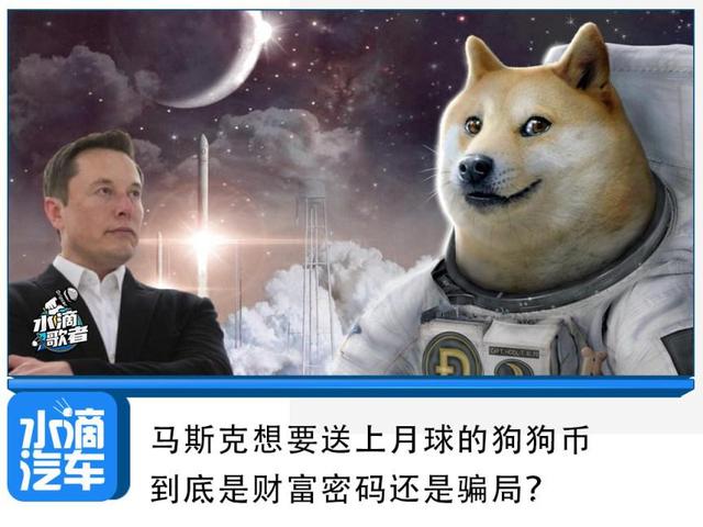 狗狗币威胁比特币(狗狗币和比特币的故事)