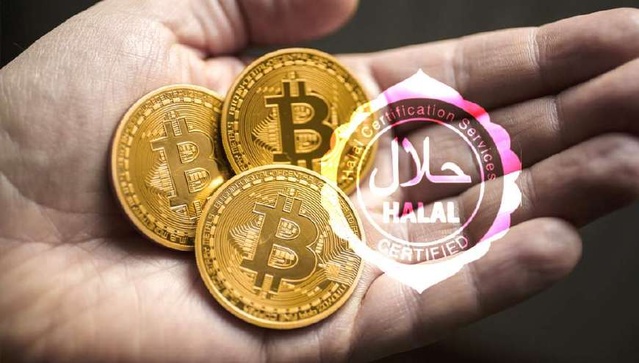 哪种币会取代比特币(zec取代bitcoin)