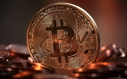 静观比特币热潮(比特币的狂热还能持续多久)