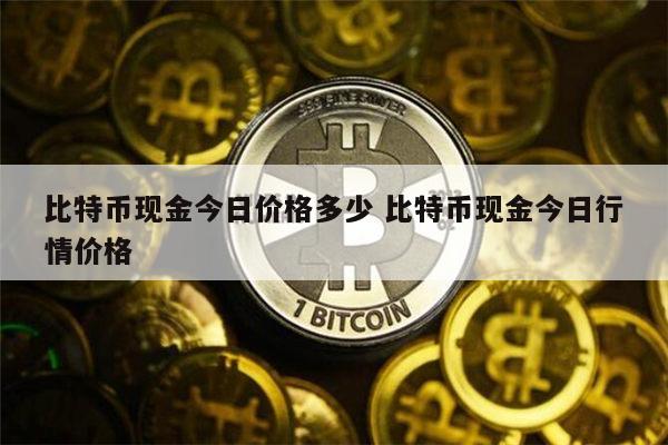 1比特币是(1比特币是哪个国家的钱)