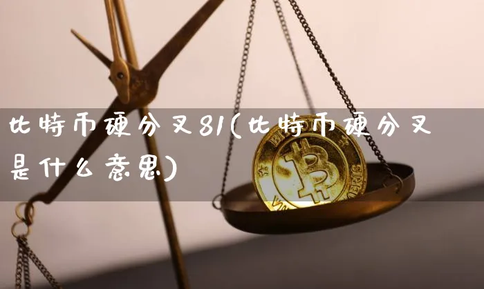 比特币比萨分叉(比特币分叉币bgh)