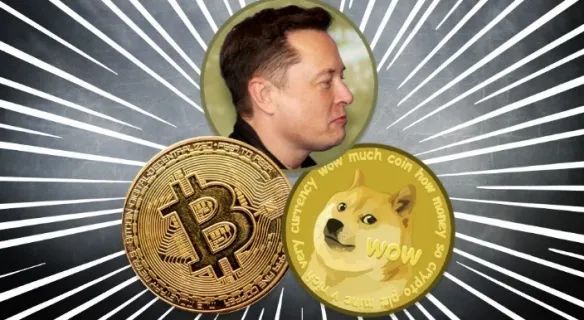 狗狗币对比比特币(狗狗币和比特币哪个好)