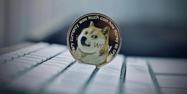 狗狗币对比比特币(狗狗币和比特币哪个好)