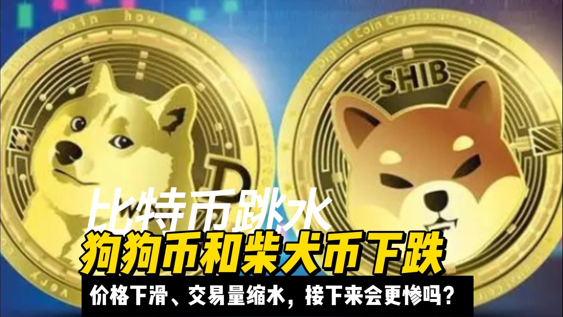 狗狗币锚定比特币(狗狗币和比特币是什么)
