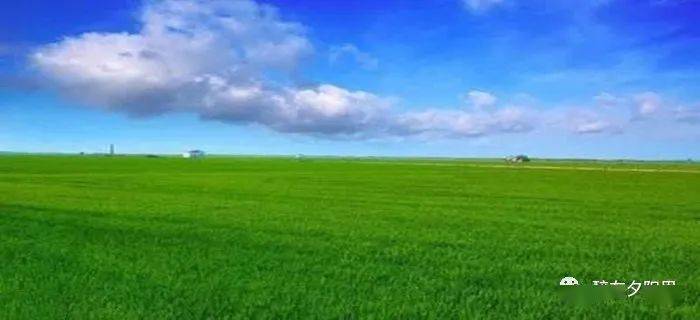 碳汇比特币(比特币为什么被中国禁止)