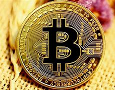 共生币与比特币(共生币与比特币的区别)