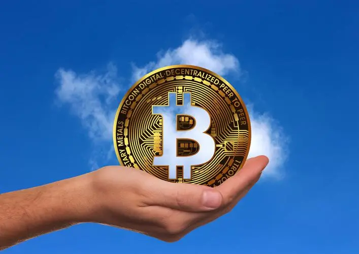 比特币成长模式(比特币成长模式有哪些)